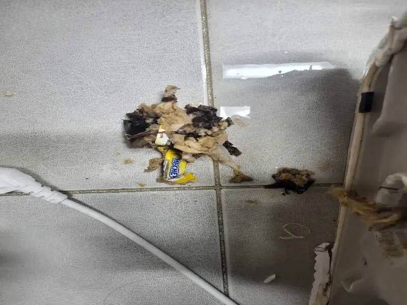 고양 배관 이물질 제거 사례 4